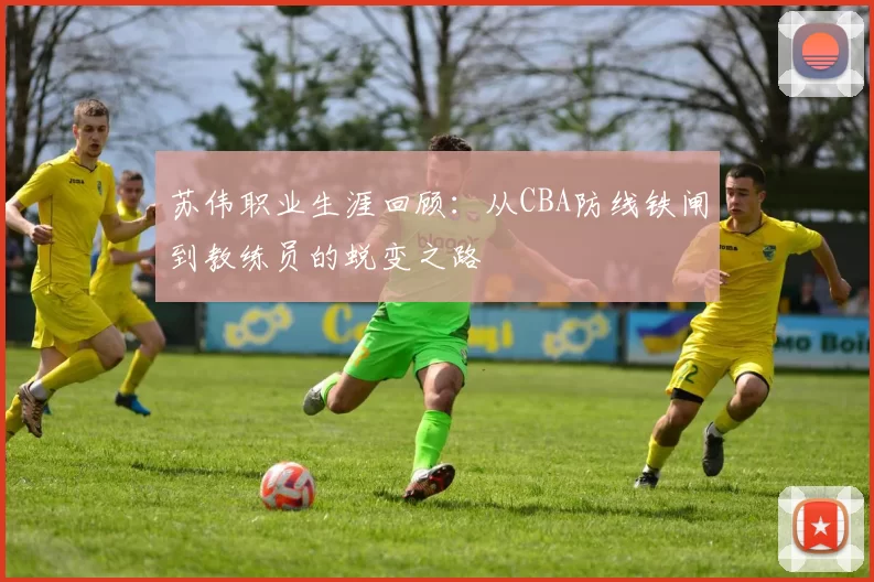 苏伟职业生涯回顾:从CBA防线铁闸到教练员的蜕变之路