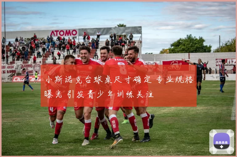 小斯诺克台球桌尺寸确定 专业规格曝光 引发青少年训练关注