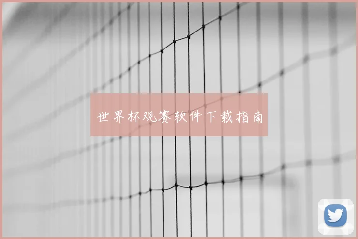 世界杯观赛软件下载指南